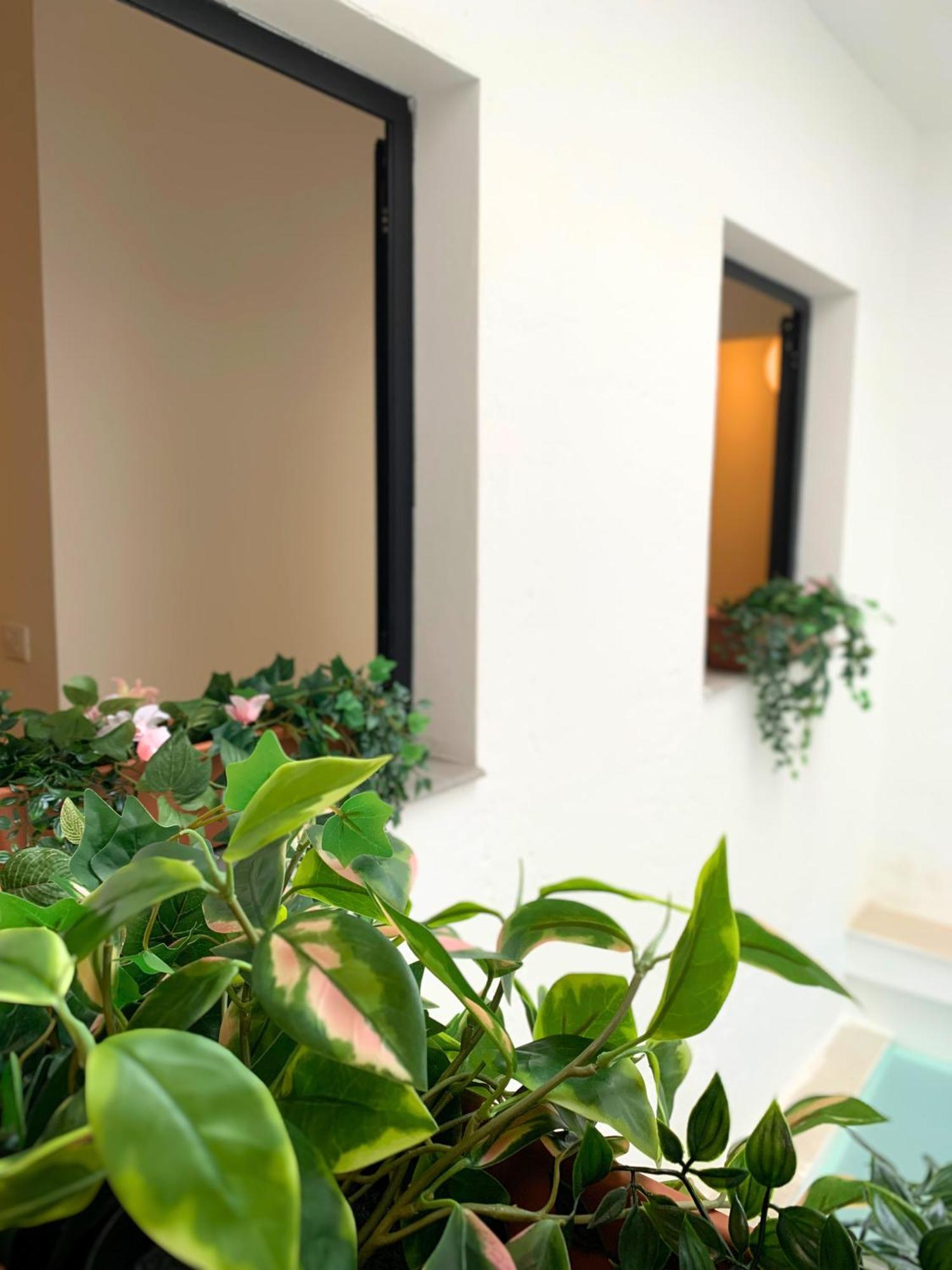 Nordic! 1 Bedroom Apartment Puerto de la Cruz  Extérieur photo